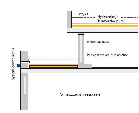 taras.jpg