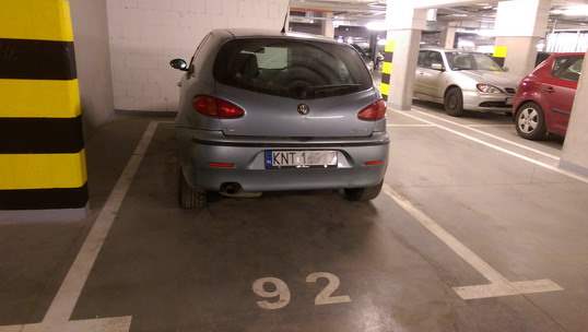cfany_lisek_nie_daje_za_wygrana.jpg