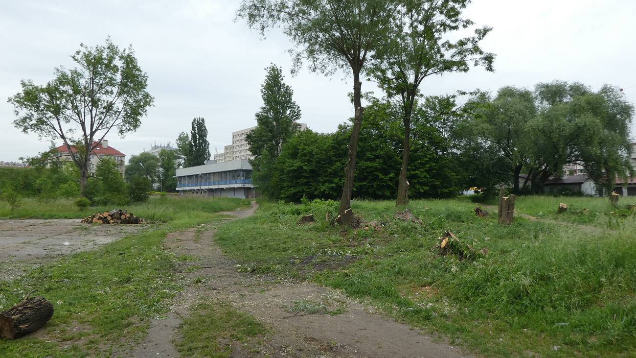 P1000005.JPG