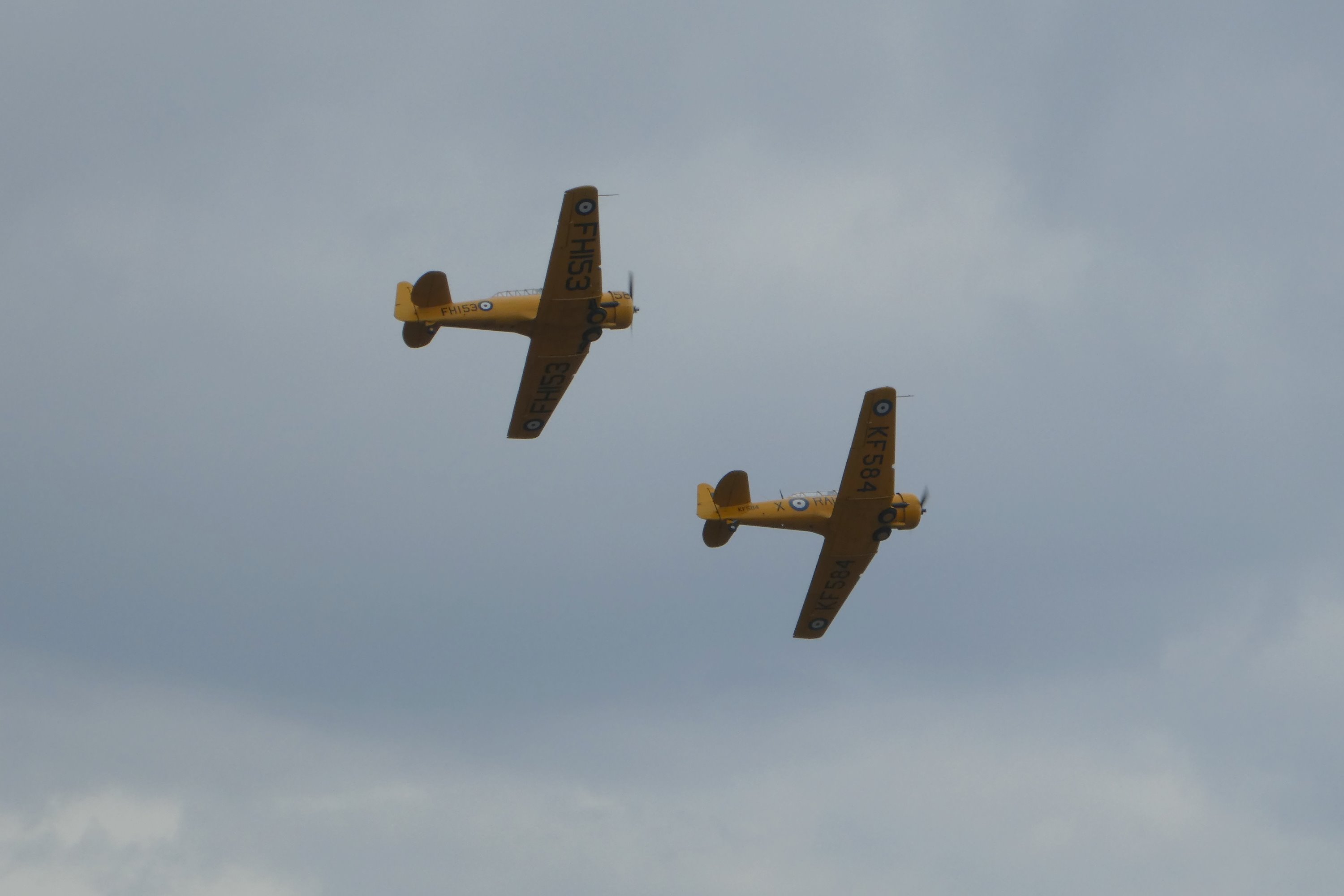 P1000006.jpg