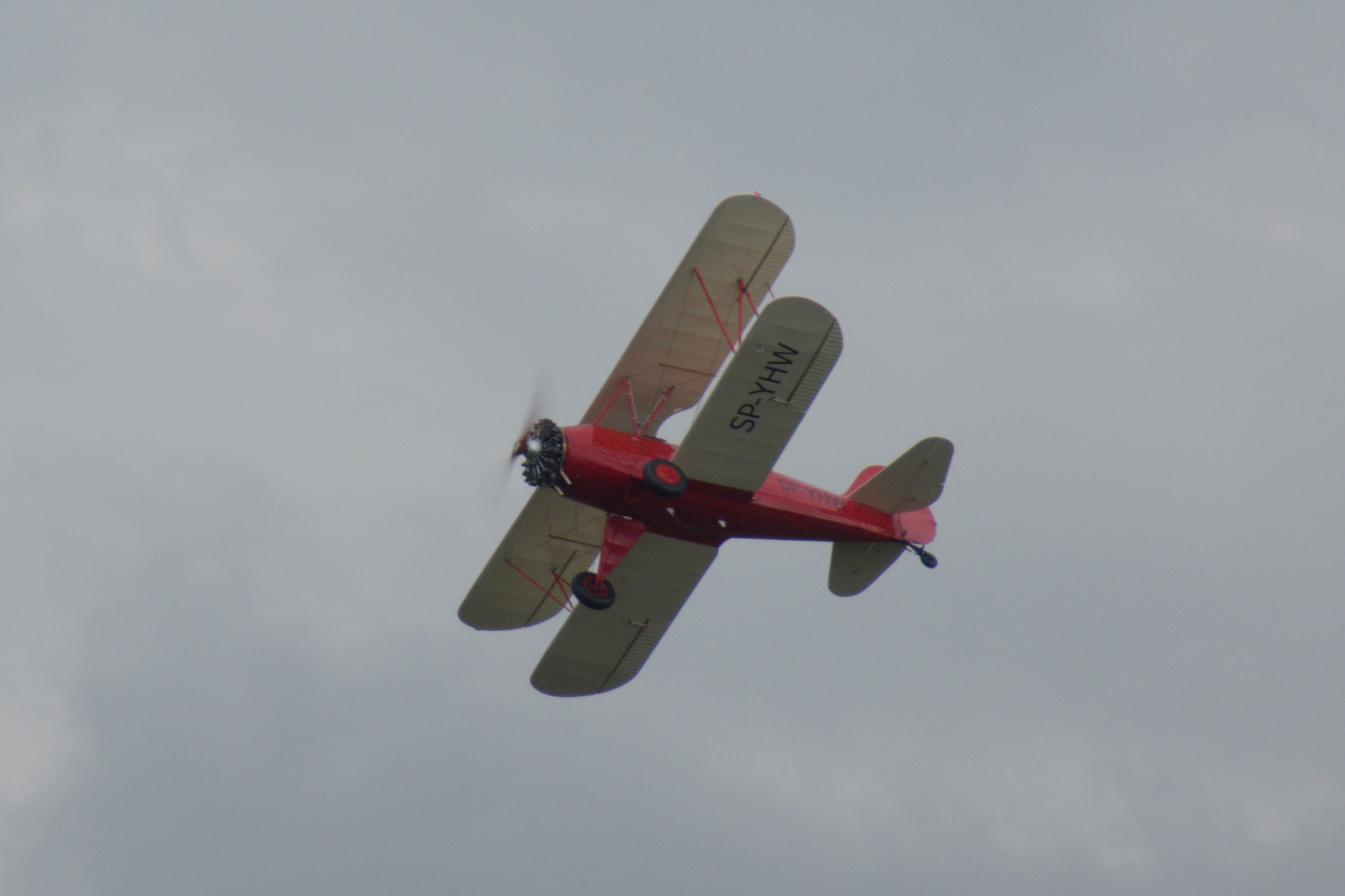 P1000036.jpg