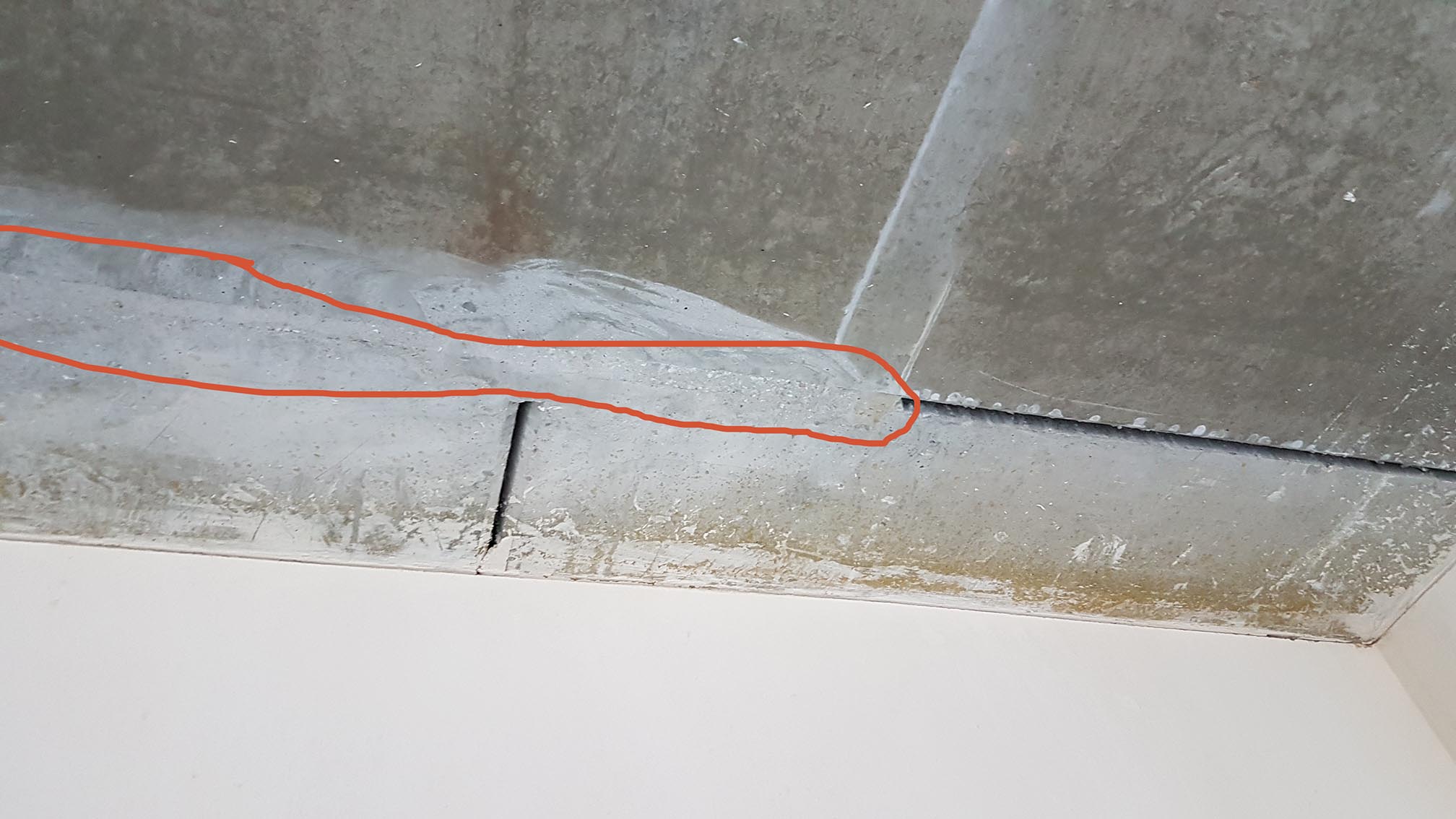 20180918_172058.jpg