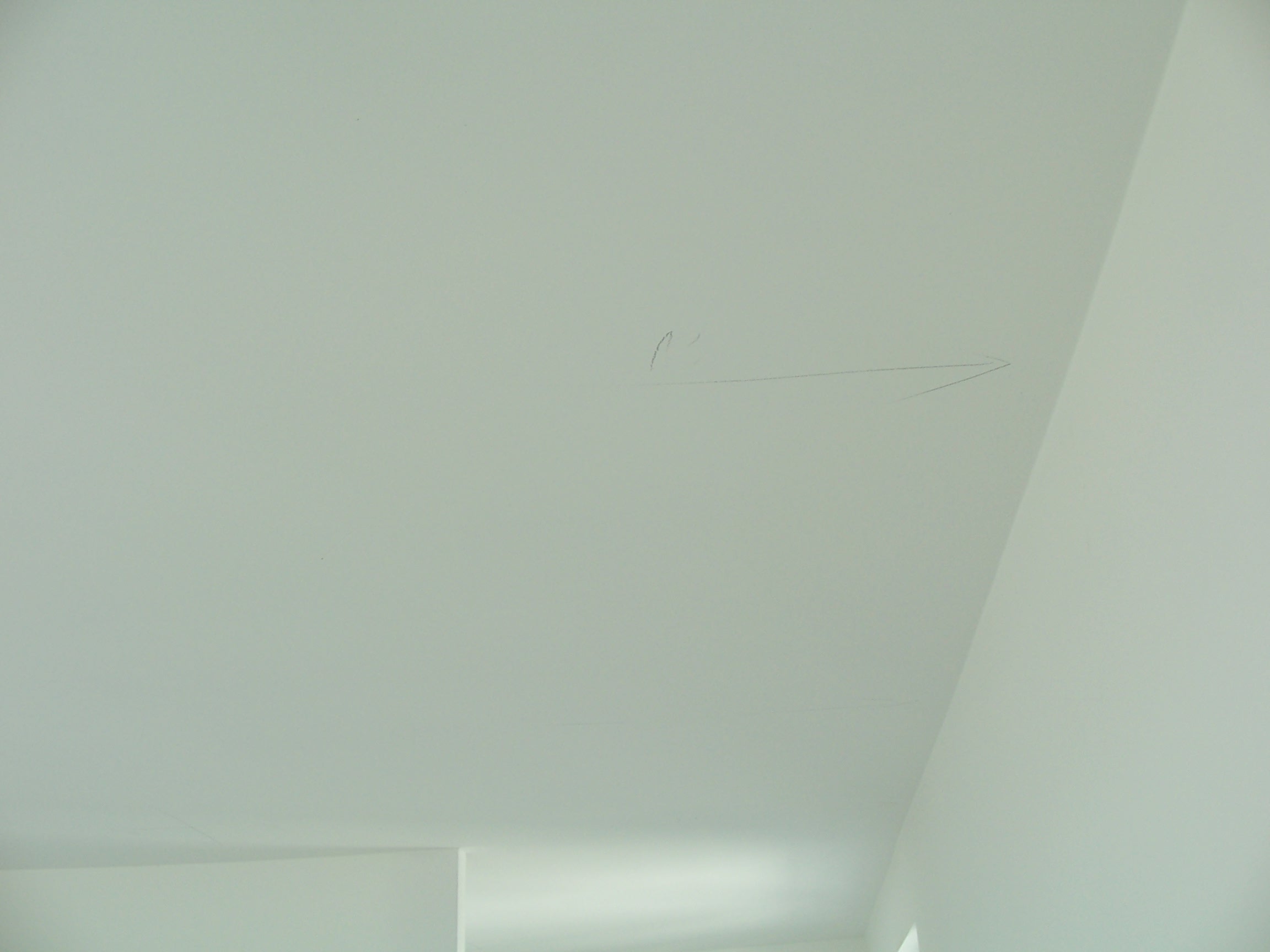 100_7394.JPG