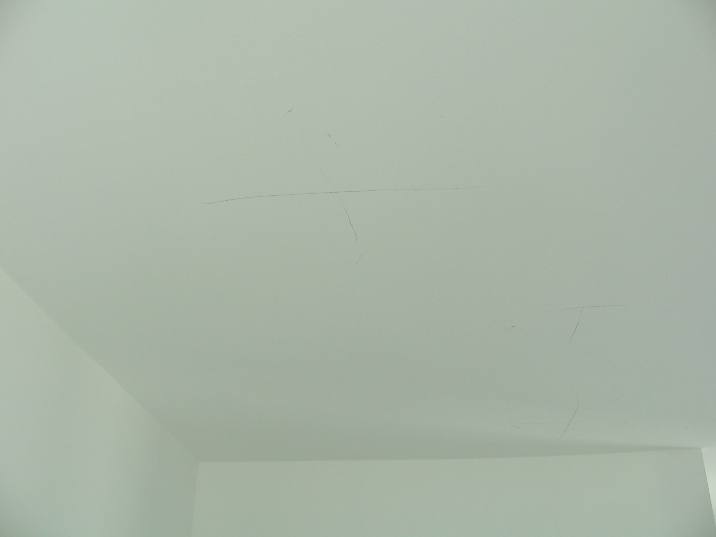 100_7396.JPG