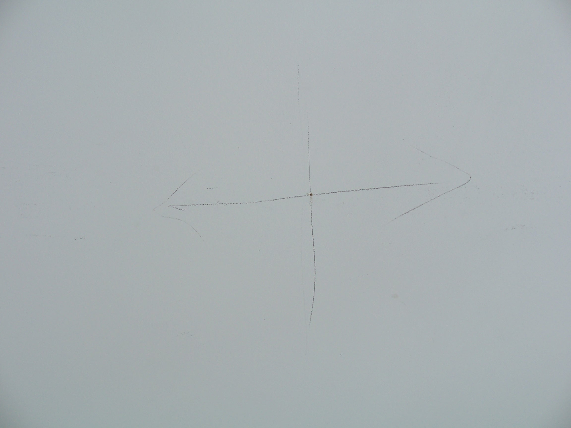 100_7408.JPG