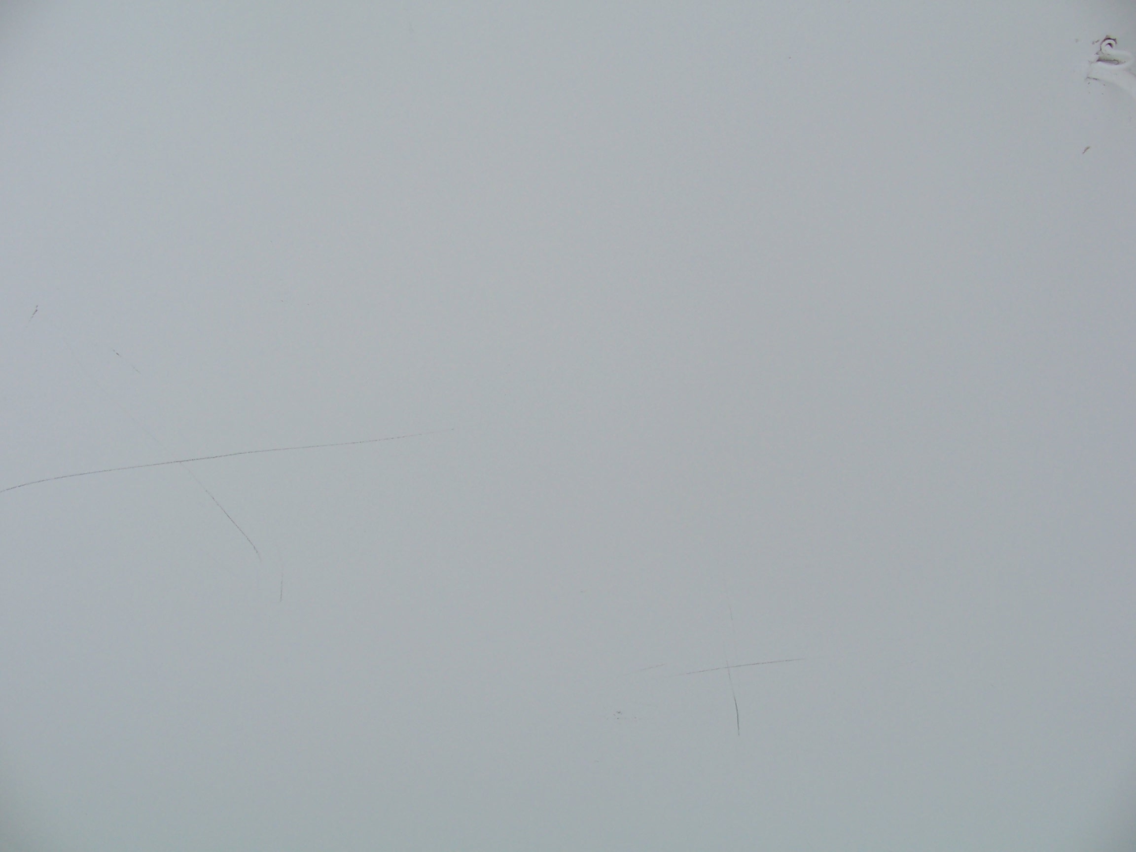 100_7415.JPG