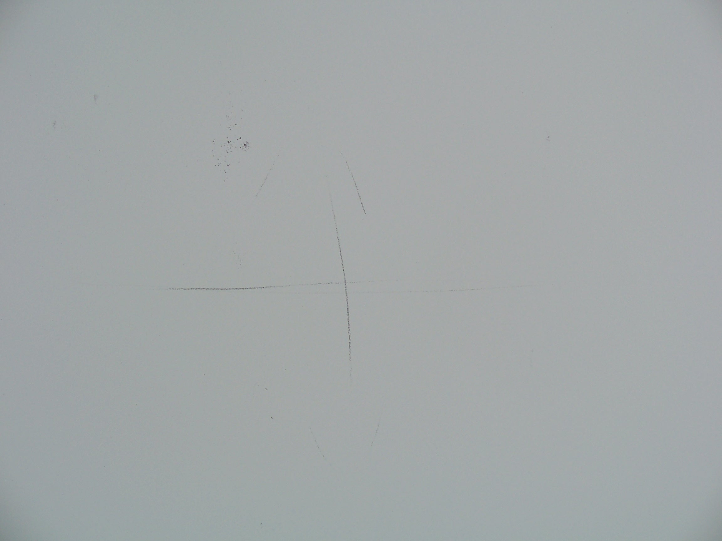 100_7447.JPG