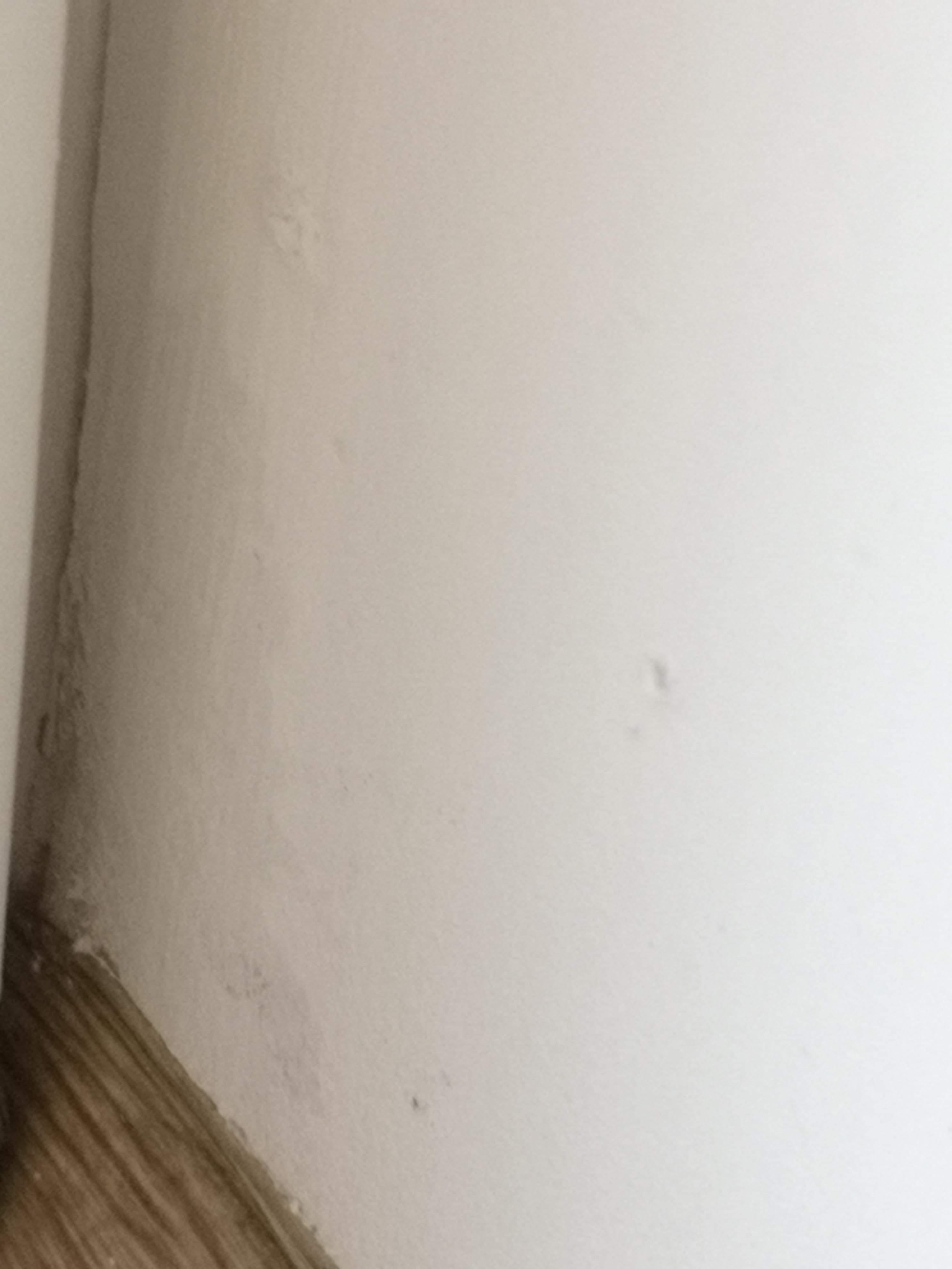 received_807811476268564.jpeg