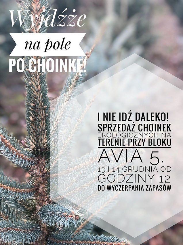 Choinki Bożonarodzeniowe Avia 5.JPG